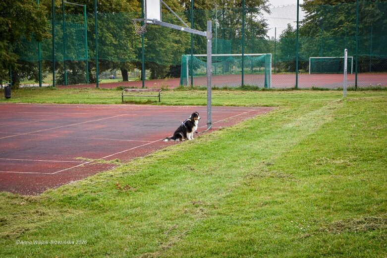  K9B nad Zalewem Zadębie. Człowiek i pies na jednej trasie 