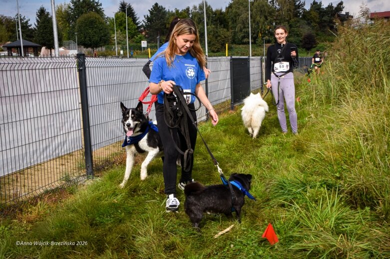  K9B nad Zalewem Zadębie. Człowiek i pies na jednej trasie 