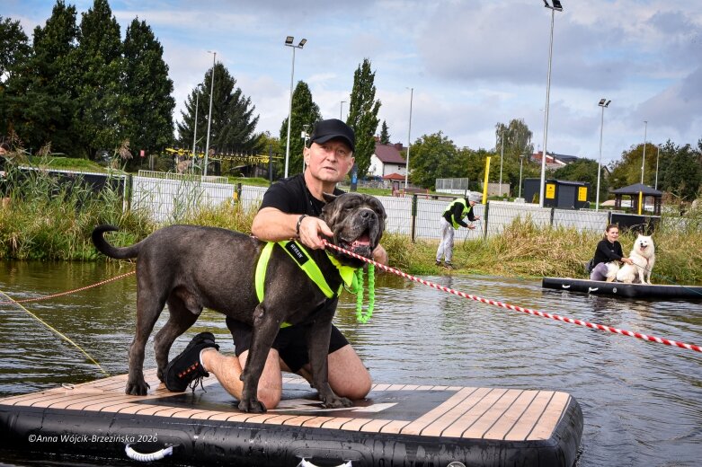  K9B nad Zalewem Zadębie. Człowiek i pies na jednej trasie 
