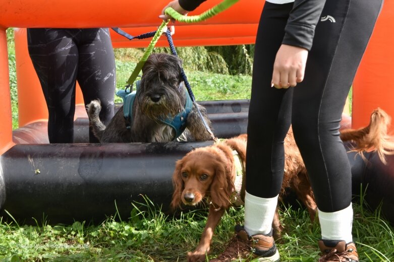  K9B nad Zalewem Zadębie. Człowiek i pies na jednej trasie 