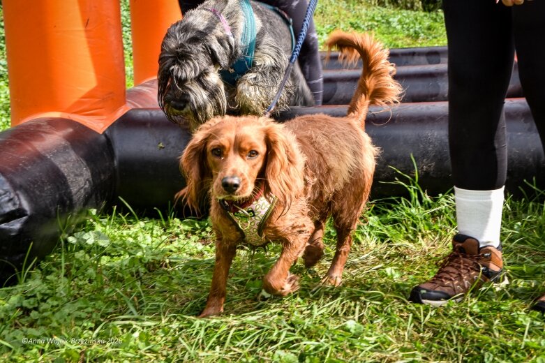  K9B nad Zalewem Zadębie. Człowiek i pies na jednej trasie 