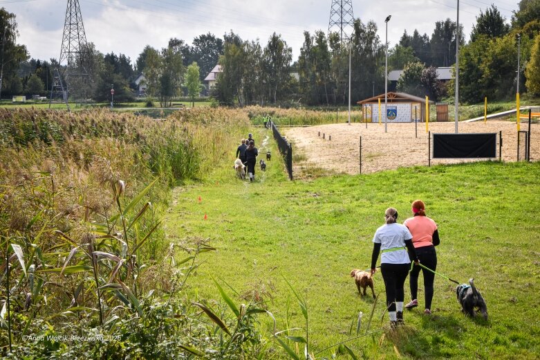  K9B nad Zalewem Zadębie. Człowiek i pies na jednej trasie 