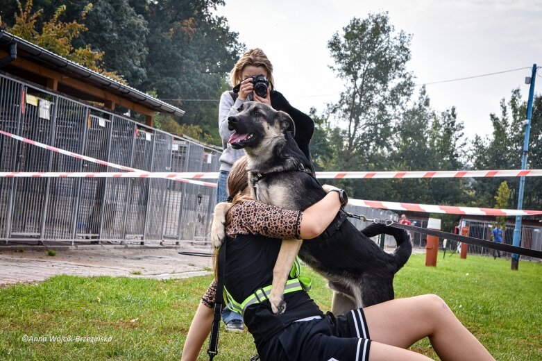  Bieg z PSYjacielem w Skierniewicach 