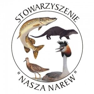  sprzatanie 