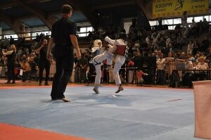  karate-rawa-fot-marek-gasinski-3520335 