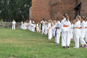  karate-zamek-10616100 