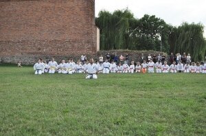  karate-zamek-1150004 