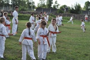  karate-zamek-12290332 