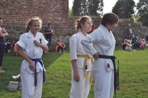  karate-zamek-14208397 