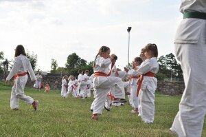  karate-zamek-16563364 