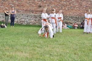  karate-zamek-17591368 