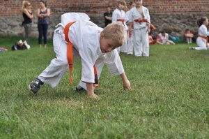  karate-zamek-18960657 