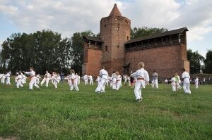  karate-zamek-19870046 