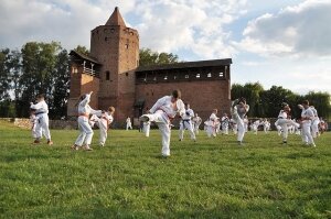  karate-zamek-22413013 