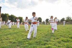  karate-zamek-23387124 