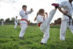  karate-zamek-24751427 