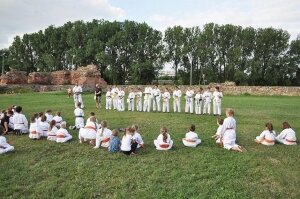  karate-zamek-25655271 